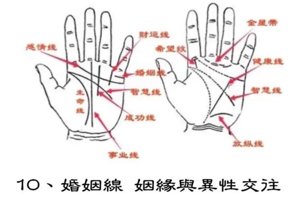 女性左手掌纹手相算命准吗