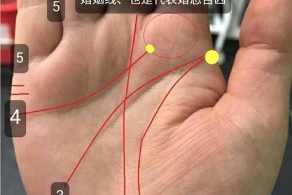 女性左手掌纹手相算命准吗