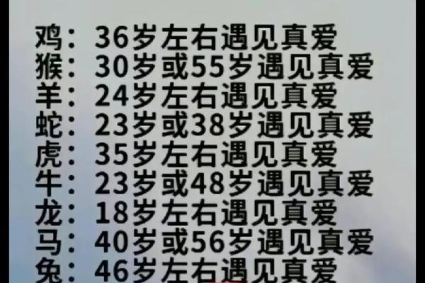 12生肖星座运势完整版