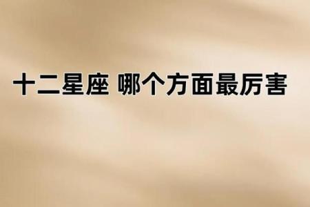十二星座最适合什么功夫