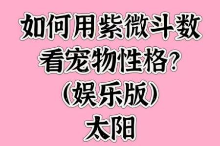 哔哔哩哔哩官网紫微斗数 哔哩哔哩bi？