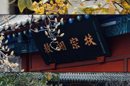 西安八仙庵算命的准吗