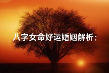 疼爱妻子八字