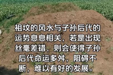 墓地风水会影响子孙后代