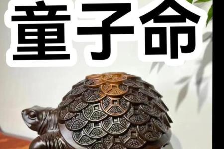 八字四柱神煞怎么看童子命？童子命口诀是什么？