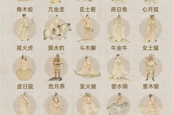 算命玄学剧集推荐