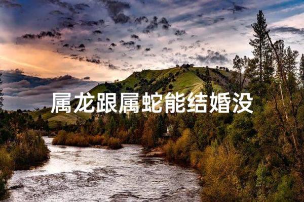 八字合婚属蛇的女人和属蛇男能结婚吗 有没有姻缘