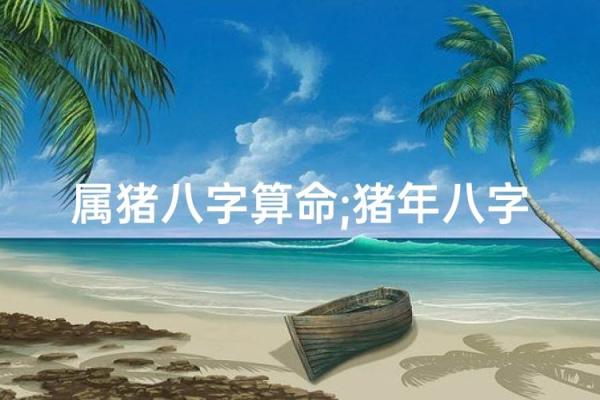 属猪算命,属猪人运程