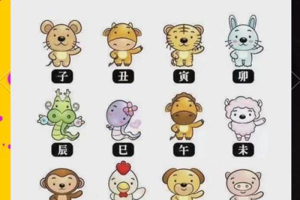 属猪算命,属猪人运程