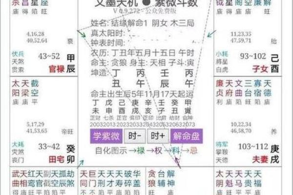 紫薇斗数命主详解