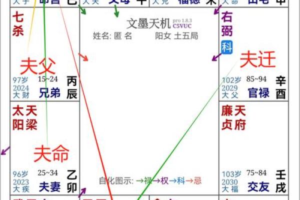 紫薇权贪狼在疾厄宫