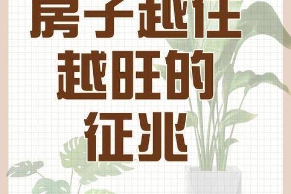 住家房子风水