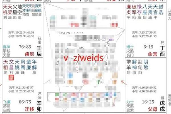 紫薇星盘看姻缘免费