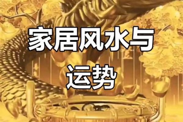 如何通过调节家居风水,来提升家中男主人的财运呢? 如何通过调节家居风水,来提升家中男主人的财运呢?