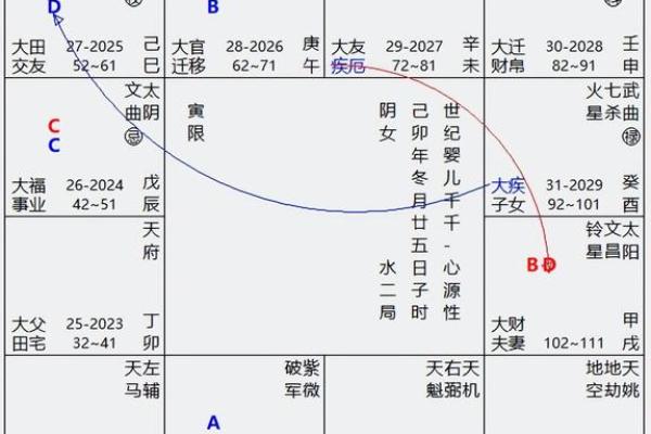 紫薇斗数盘每排文字代表什么