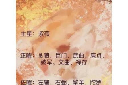 紫微斗数中，破军星的含义和性质全解读