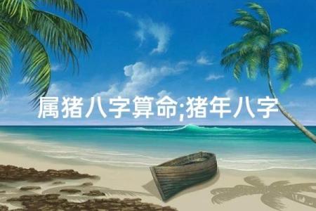 属猪算命,属猪人运程
