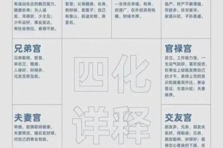 10个斗数解盘技巧