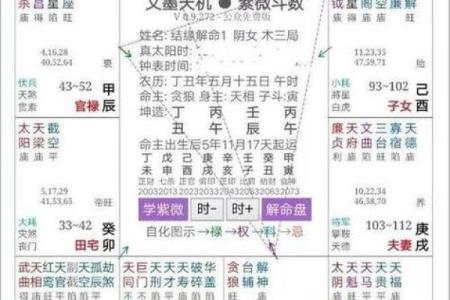 紫薇斗数命主详解