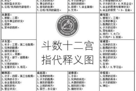 紫薇斗数怎么看命格