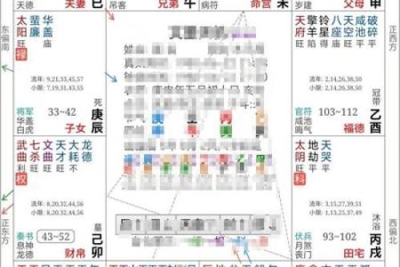 紫薇斗数文曲在命宫