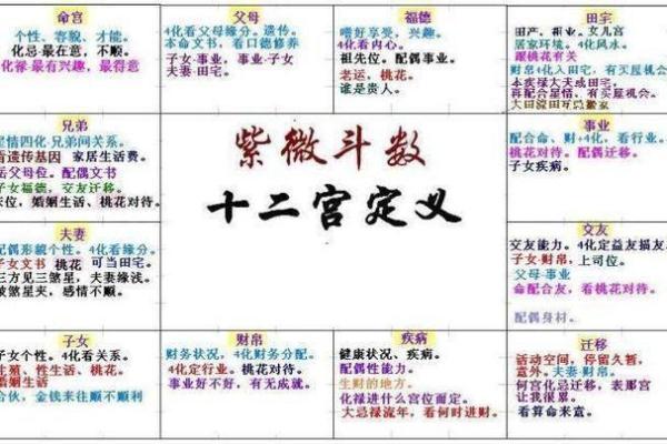 紫薇斗数嫁得好