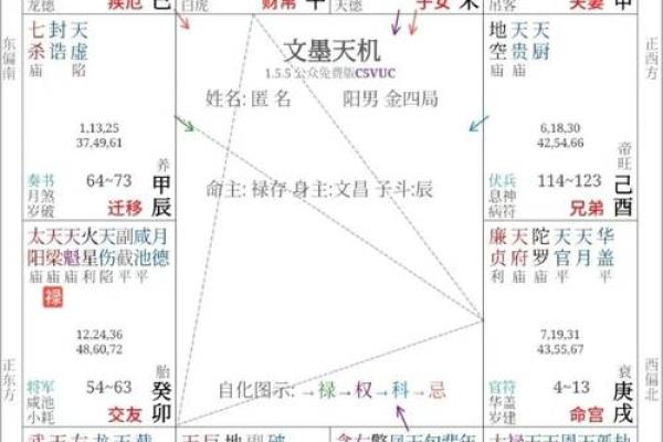 紫薇斗数化吉