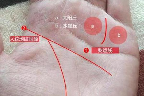 手相算命：什么样的手相最有偏财运