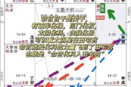 紫薇斗数与八字宫位