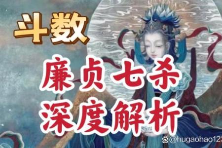 紫微斗数：七杀的刚强