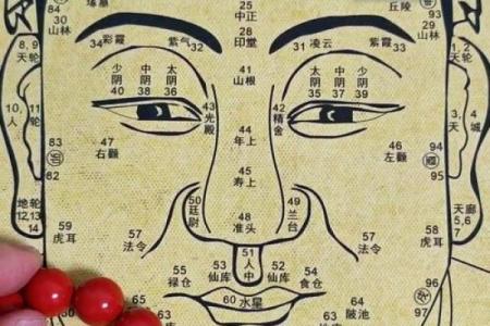 八字眉毛修饰图解女人命运