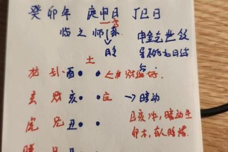 八字丁巳日