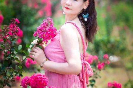 美女的紫薇斗数