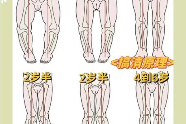 八字看身高