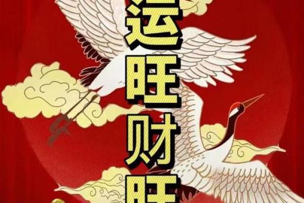 公司旺财住址风水怎么看-