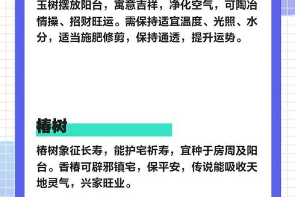 旺运风水局，如何使用植物布局