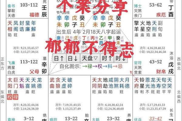 紫薇斗数测事业成就