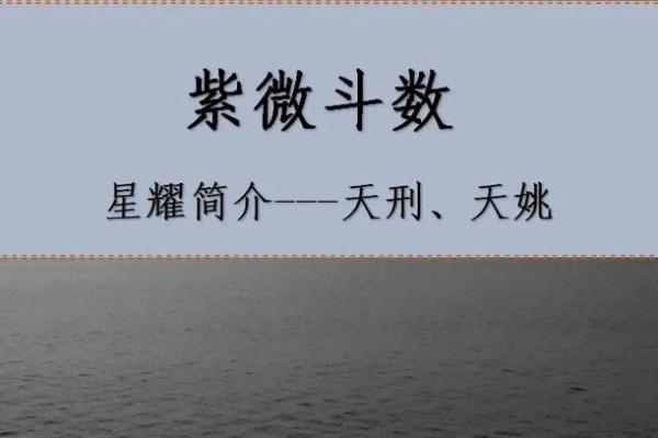 紫微斗数官禄宫天姚