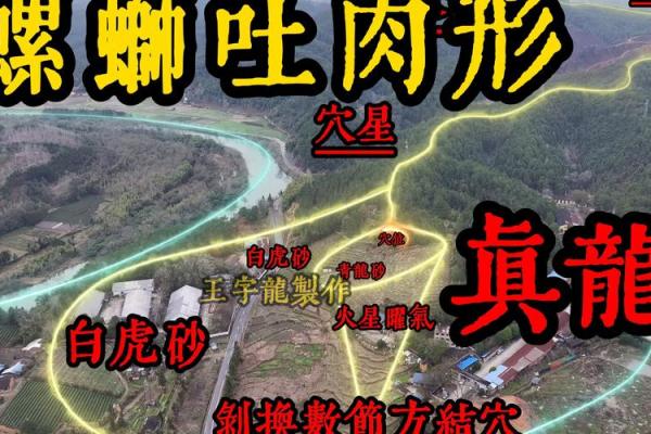 怎么看阴宅风水宝地，记住四点