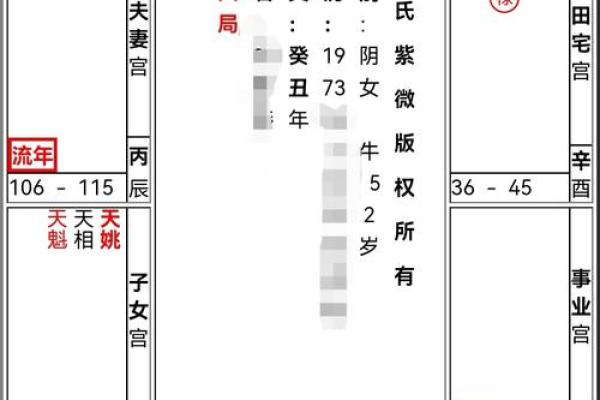 紫薇斗数流年财运1