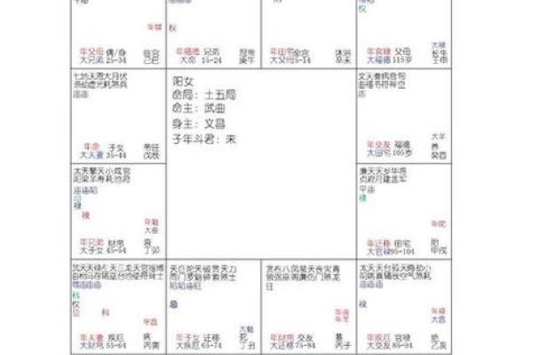 紫薇斗数的小限指的什么