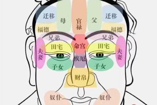 看头发面相知道运势 面相头发算命