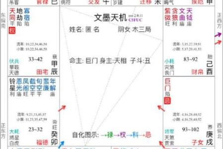 蔡辰洲紫薇斗数