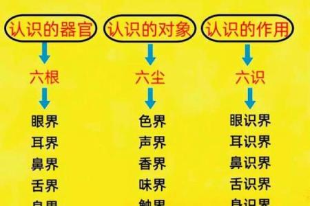 八字读象