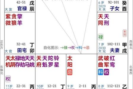 紫薇斗数大太极