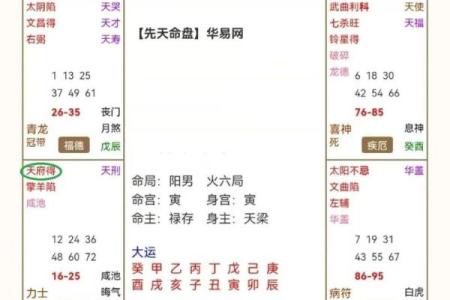 紫薇斗数安卓