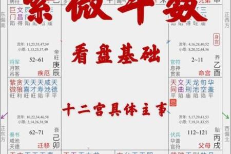 紫薇斗数事业宫详解