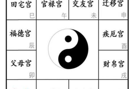 中洲派紫薇斗数
