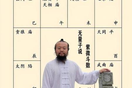 低调破解紫薇斗数