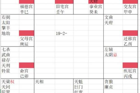紫薇斗数配偶财富